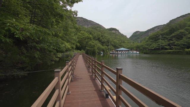 한적한 호수 산책로와 울창한 자연