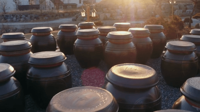 햇빛 속의 전통 한국 장독대