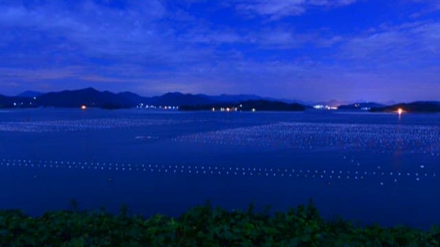 해질녘 바다 위 양식장 풍경