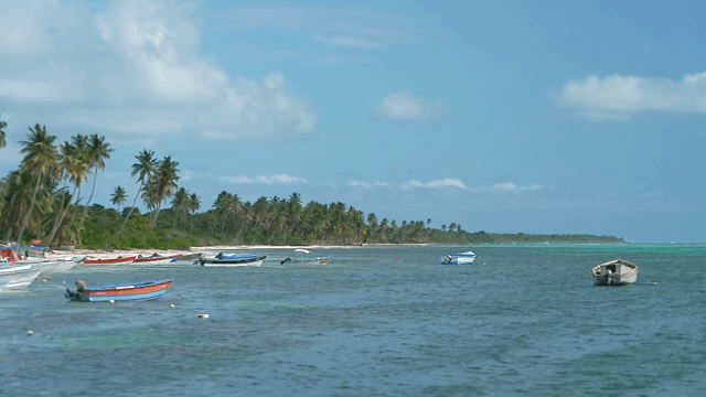 보트와 야자수가 있는 열대 해변