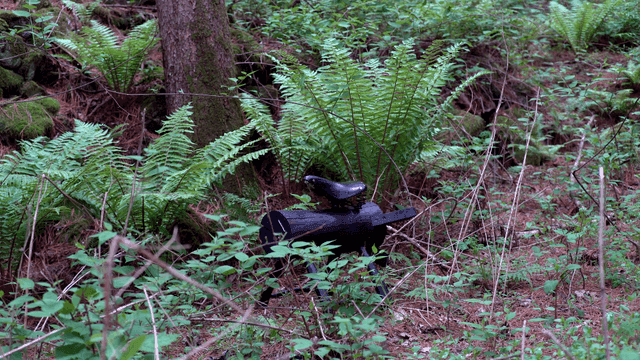 푸른 숲 속의 나무 조각상