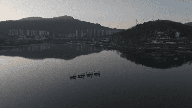 Tranquil city lake landscape with swan boats
