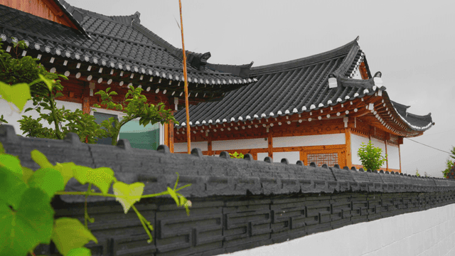 Traditional hanok with tiled roof beyond a rain-soaked wall