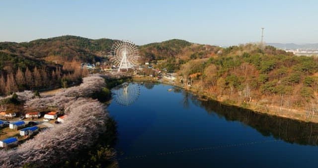 Scenic view of cherry blossoms and Ferris wheel in park