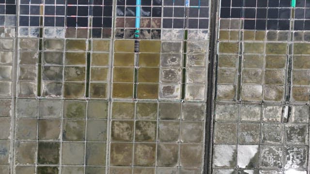 화창한 날 해안 마을의 염전 풍경