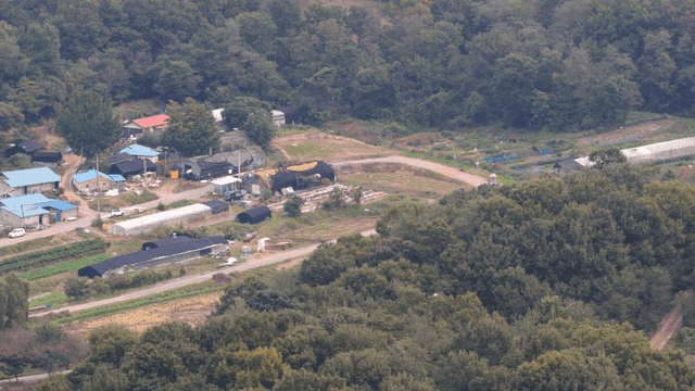푸른 숲으로 둘러싸인 시골 마을위를 나는 새들