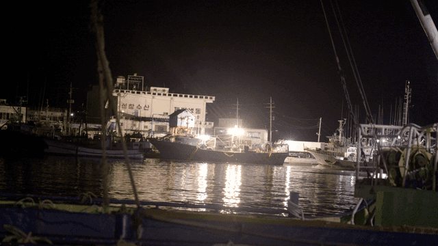 Fishing boats docked at a harbor at night
