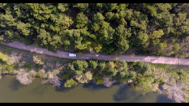 강과 숲 사이의 도로를 달리는 자동차