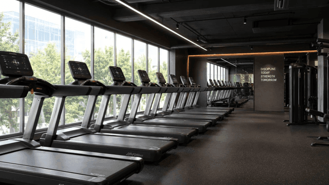 Modern gym with rows of treadmills
