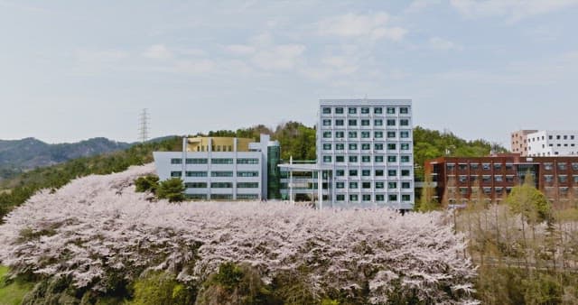 Campus buildings surrounded by cherry blossoms