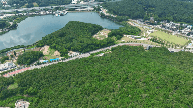 Scenery of lake and surrounding forest