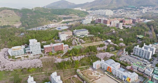 University campus surrounded by cherry blossoms