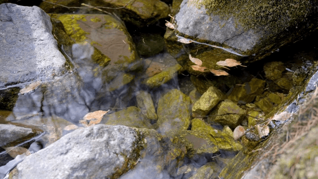 이끼 낀 바위를 흐르는 맑은 물
