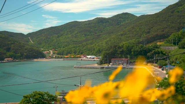 Coastal Village Nestled in Lush Mountains