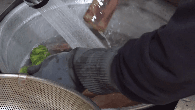 신선한 오징어와 채소 세척