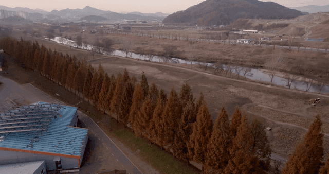 A serene landscape with trees and mountains