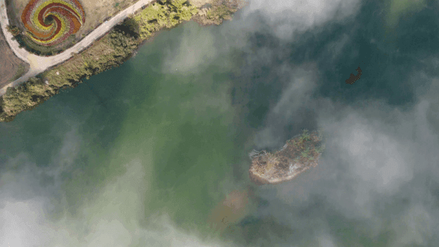 Lake where fog and greenery harmonize