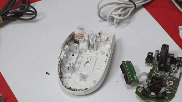 Disassembled computer mouse parts