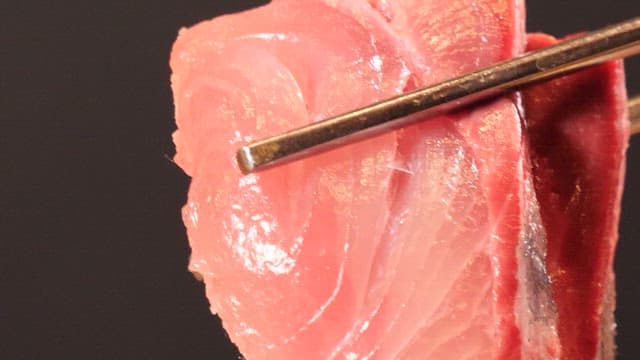 젓가락으로 집어든 방어회