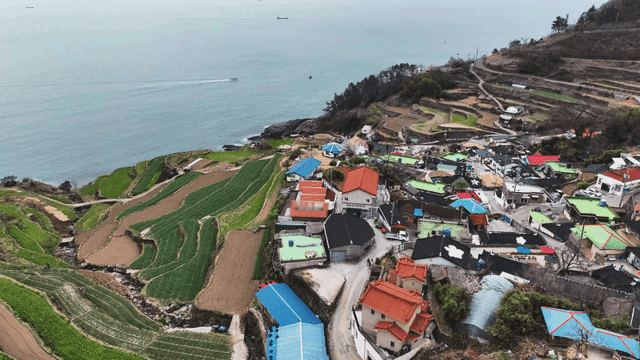 Coastal village with terraced fields