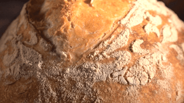 Freshly baked campagne bread with golden crust
