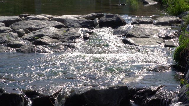 Stream flowing over rocks, sparkling in the sunlight