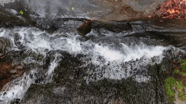 바위 위로 흐르는 작은 폭포