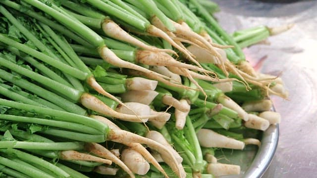 Fresh radishes piled on a metal tray