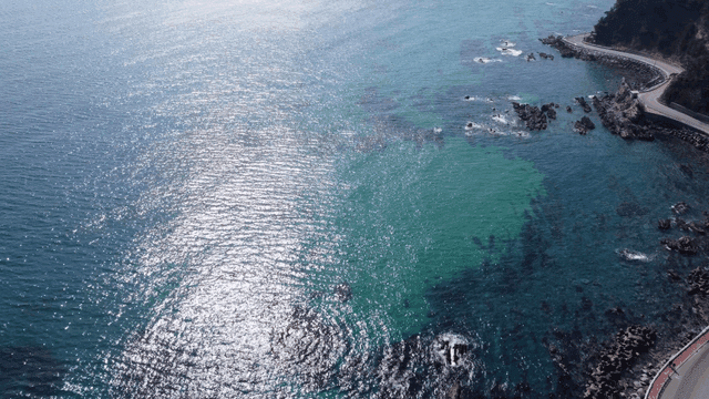 Winding coastal road along sea