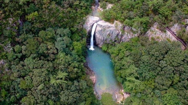 Picturesque waterfall surrounded by lush forests