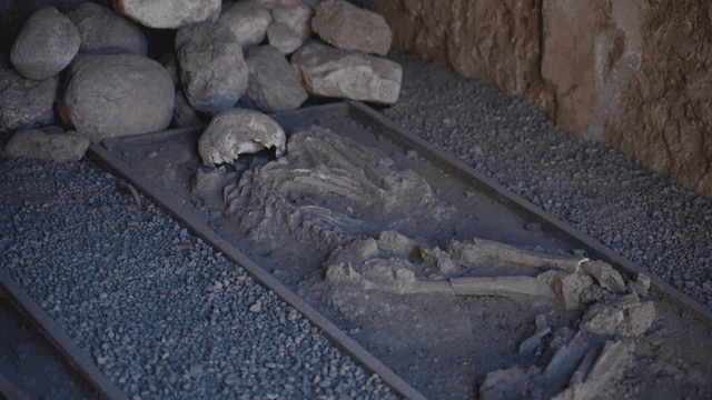 Ancient skeletal remains in a stone tomb