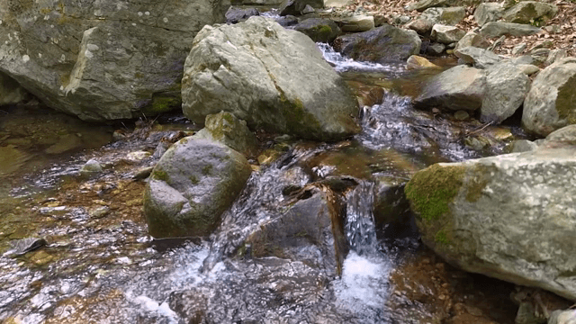 Small stream flowing over rocks