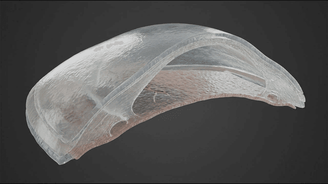 Transparent structure with complex skin layers