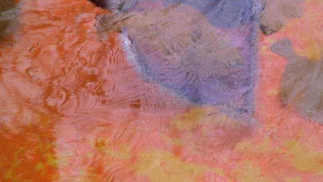 물속에서 그물에 잡힌 광어