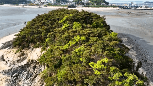 푸른 나무들이 있는 작은 섬