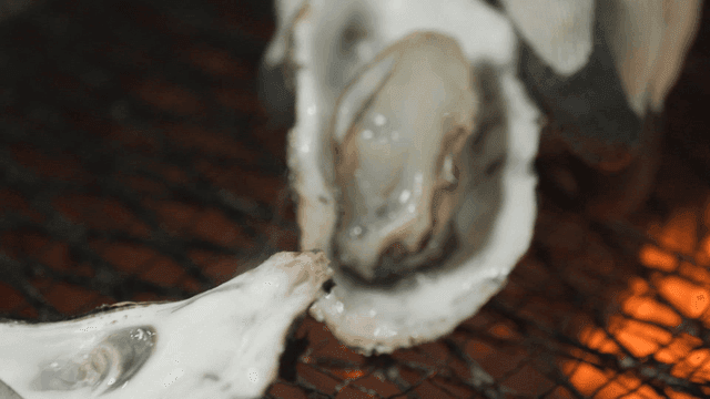 Hand opening oyster on grill