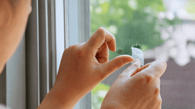 Repairing a window screen with a patch