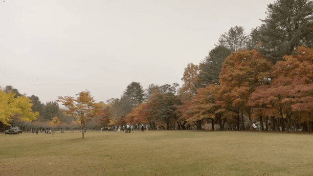 가을 단풍이 있는 공원에서 사람들