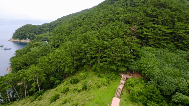 Green forest surrounding the windmill