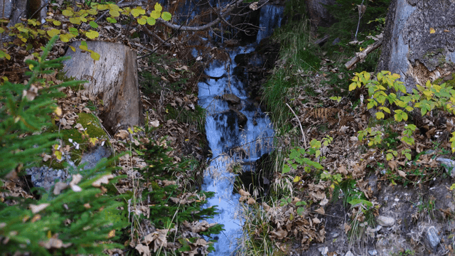 Small waterfall in a forest