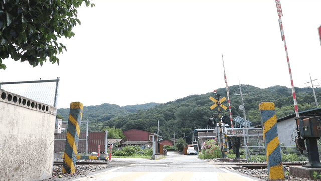 Railroad crossing in a rural area
