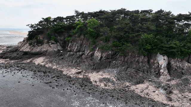 푸른 나무들이 있는 작은 섬