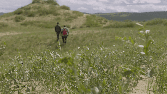 풀밭을 걷는 두 사람