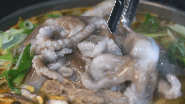Live Octopus Rib Hot Pot