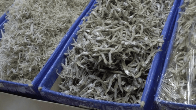 상자에 진열된 다양한 건어물