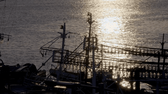 Fishing boats on the sunlit sea