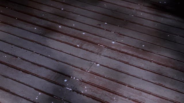 나무 데크 위 그림자와 꽃잎