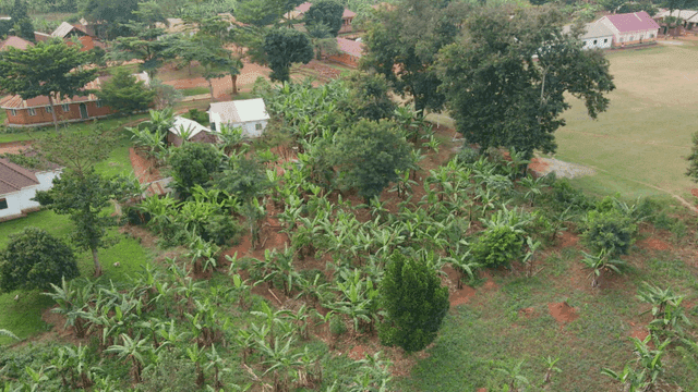 Aerial view of a rural village with farms