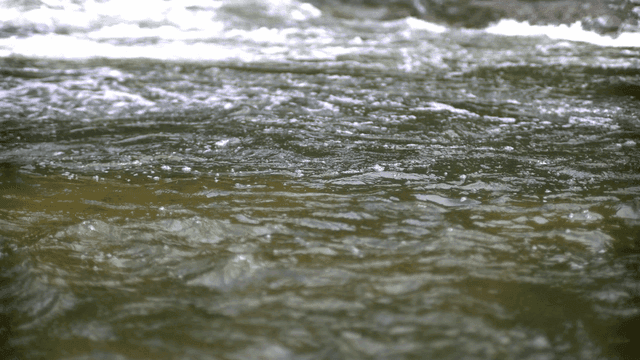 잔잔한 물결이 이는 강가