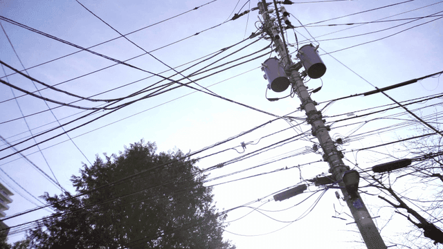 얽힌 전선이 있는 전봇대